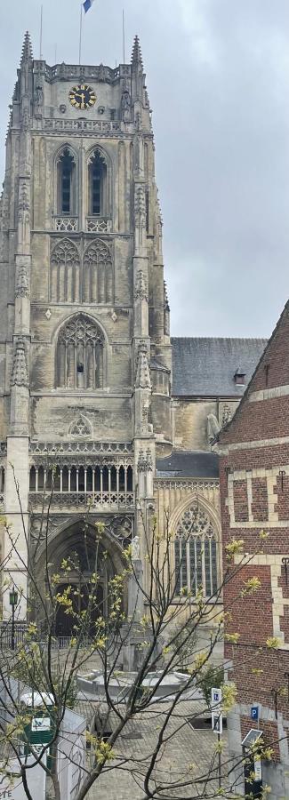 Domus Basil Villa Tongeren Kültér fotó